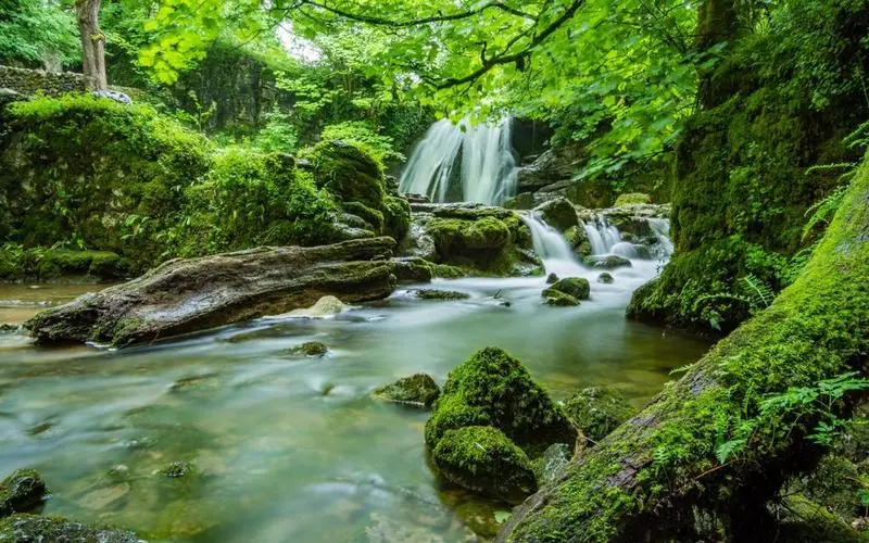 智能系统高标准可靠性